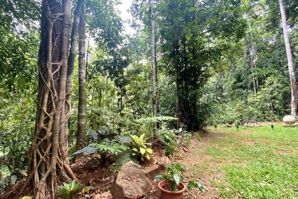Zen Eco House Villa Cow Bay Luaran gambar